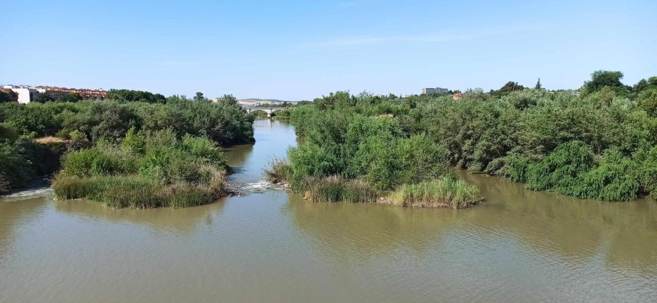 La Pequena Taifa I Lejlighed Córdoba Eksteriør billede